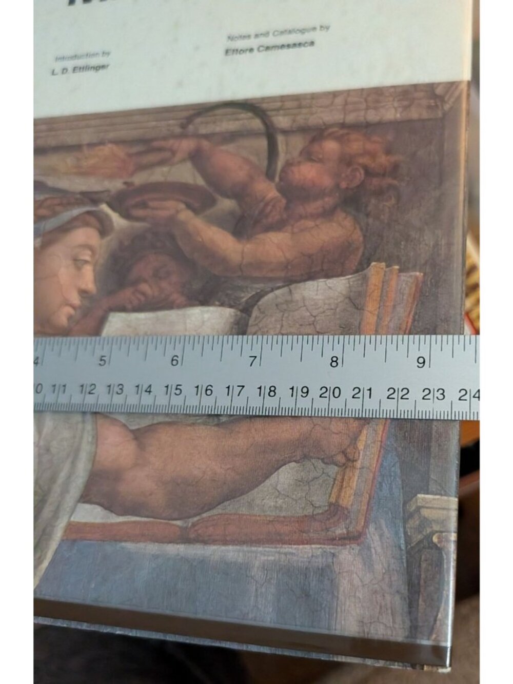 The Complete Paintings Of Michelangelo Hardcover Art Book Classics Of The Worlds - Picture 12 of 14